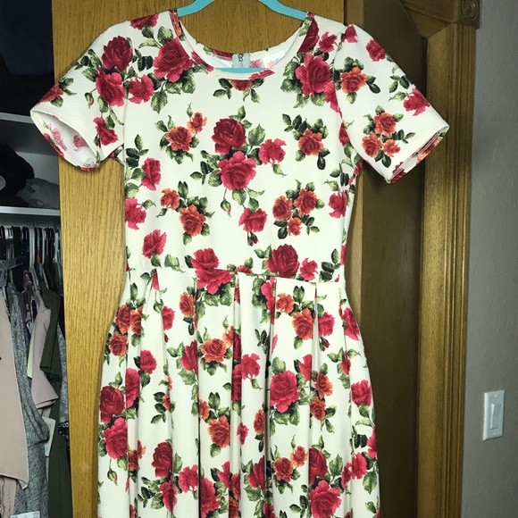 LuLaRoe Dresses & Skirts - Lularoe Vintage Floral Amelia
